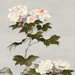 Gentai Watanabe Gallery
